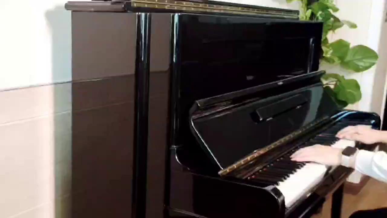 C.Bechstein Concert 8 ʽ